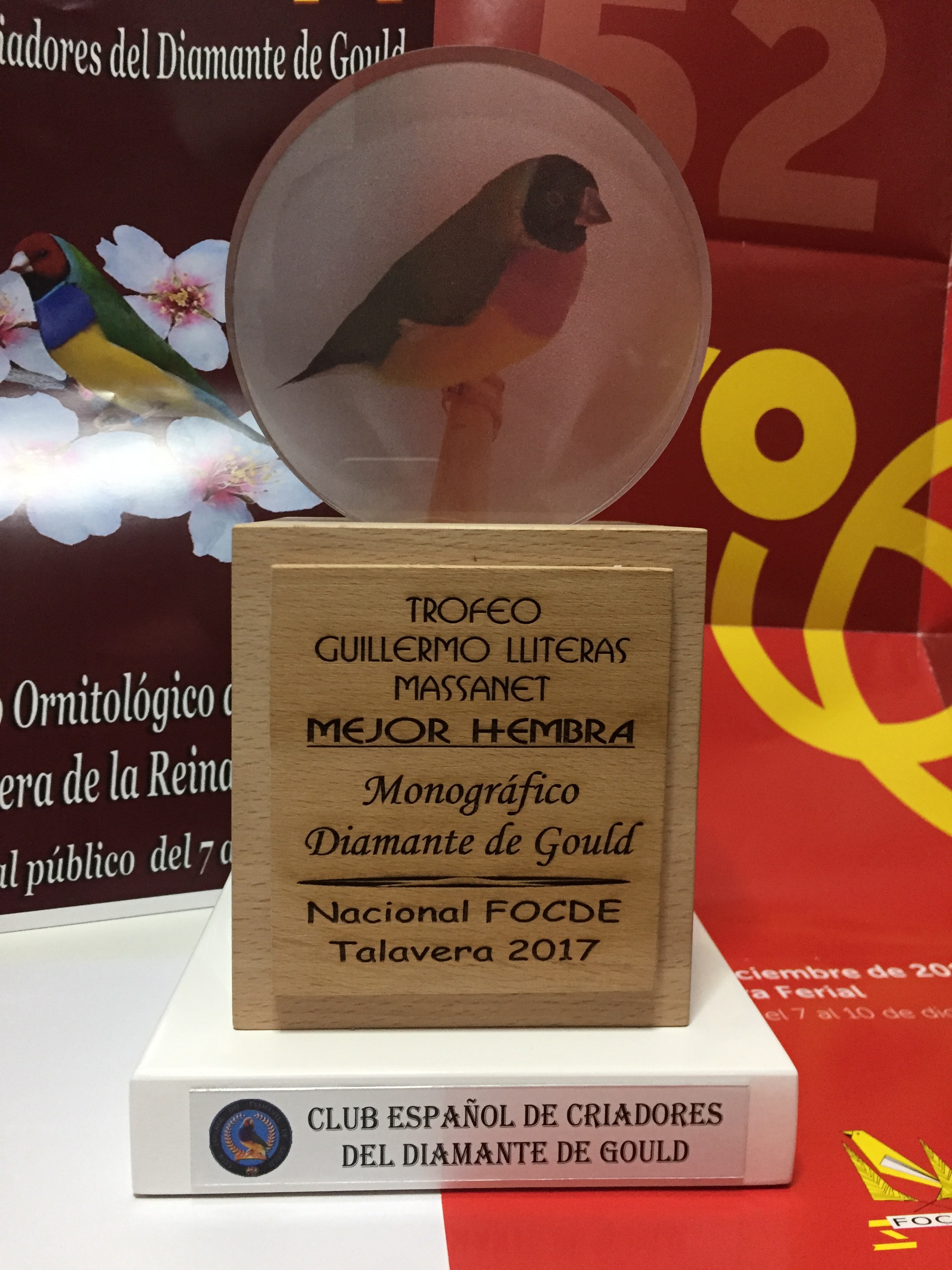 Premio Guillermo Lliteras